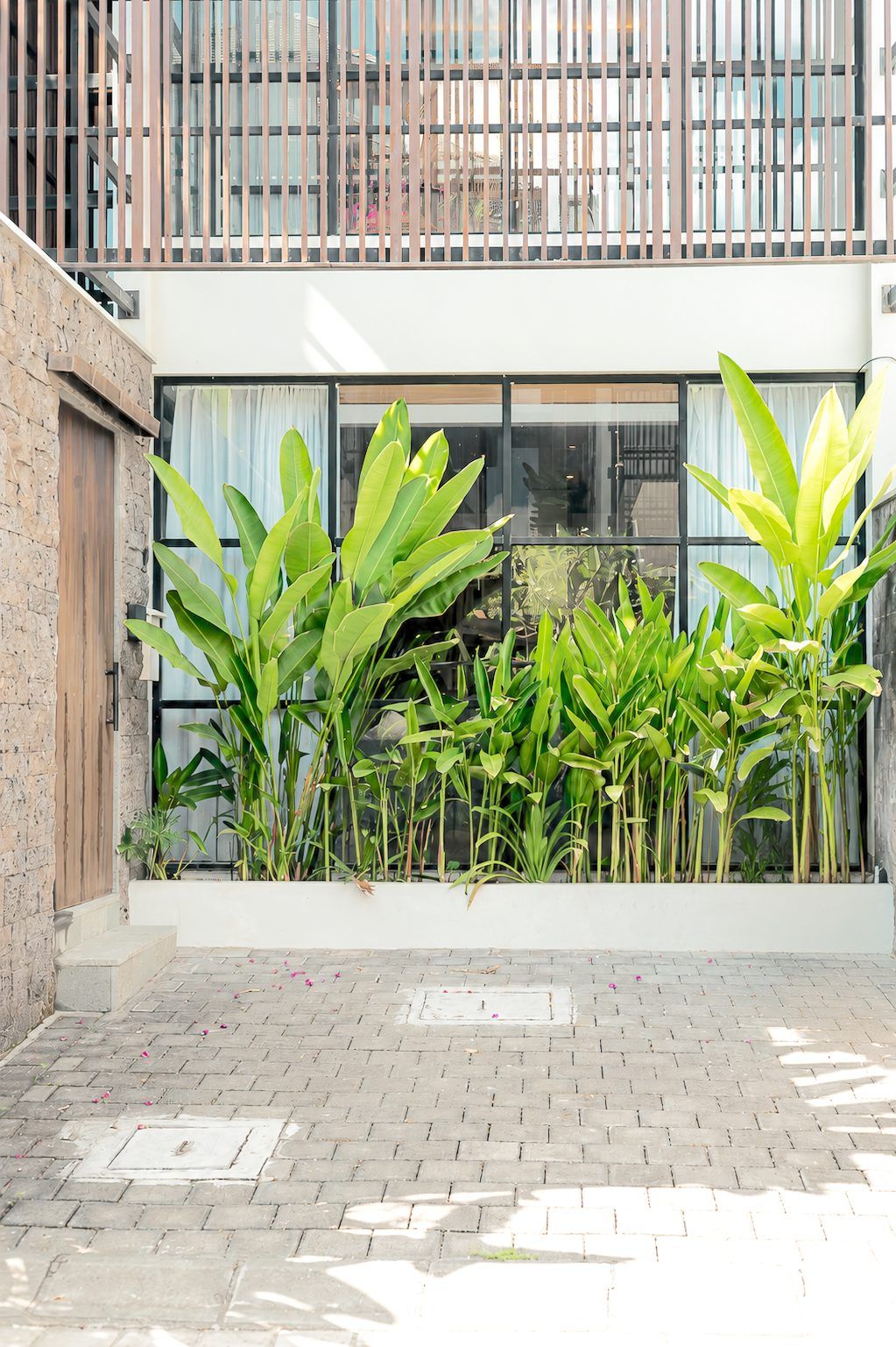 Modern 3 Bedroom Villa in Batu Bolong, Canggu - Gated Residential Villas — view 2