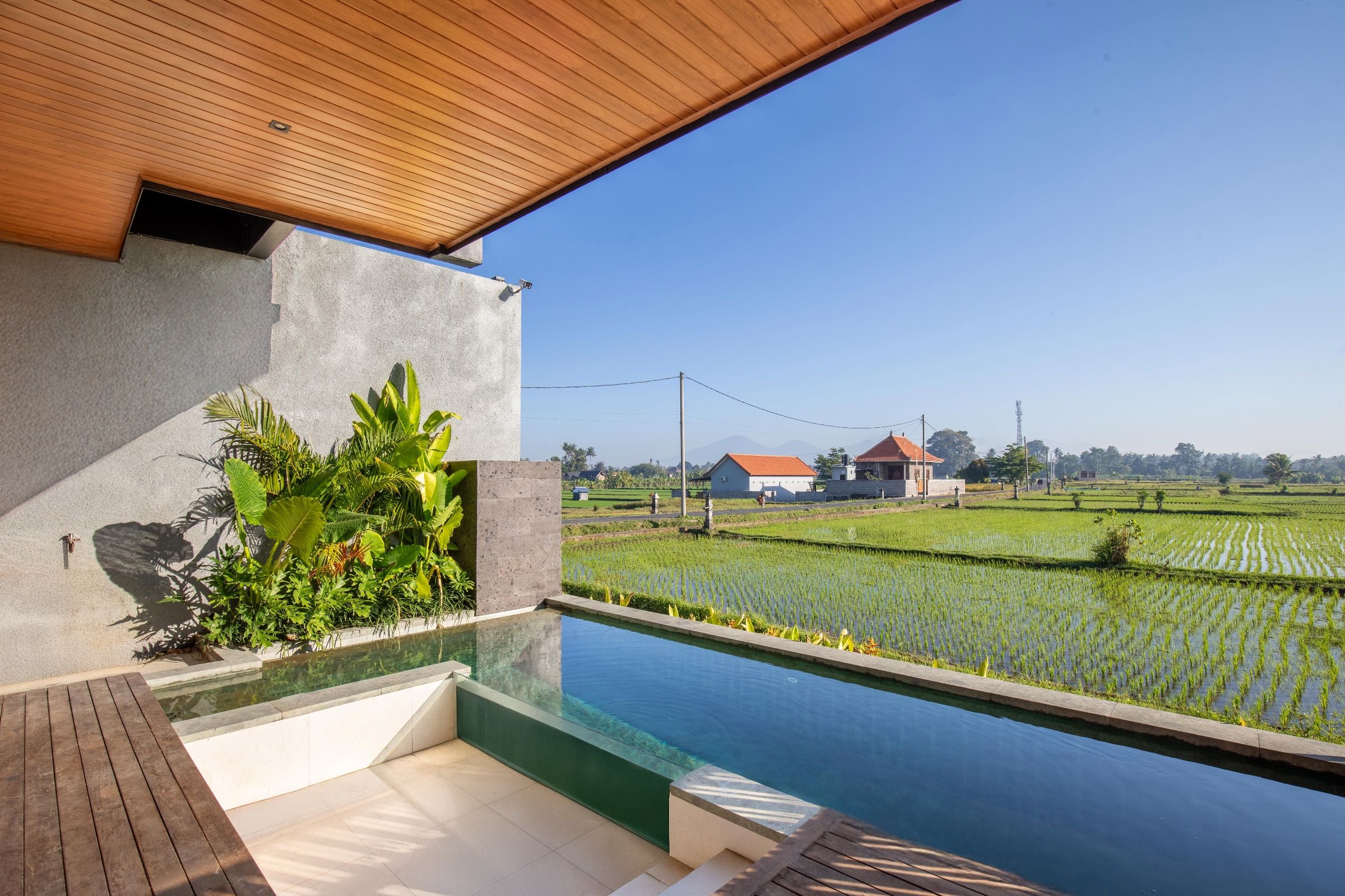 Luxury Twin Villas in Ubud with Rice Paddies View — view 2