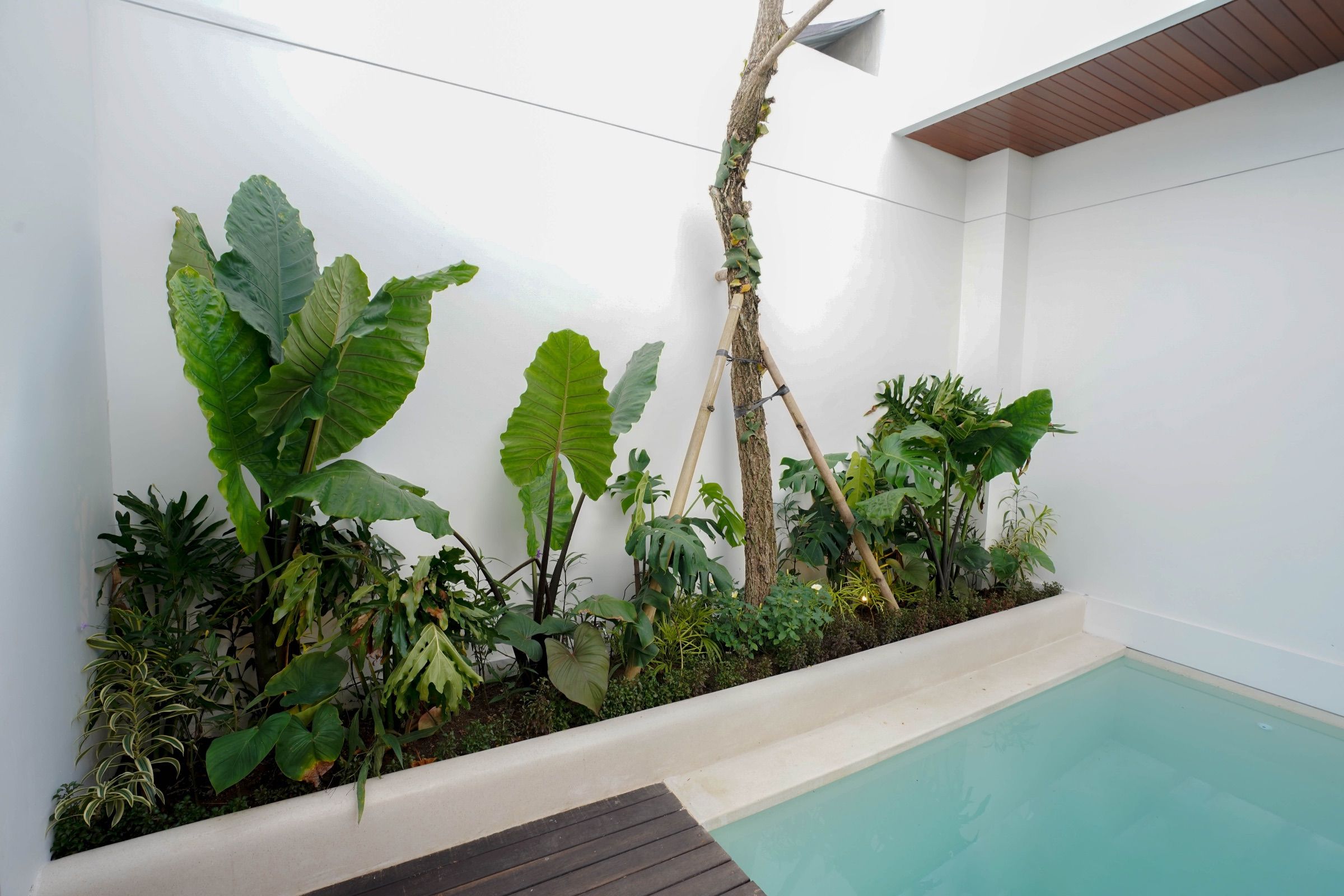 2-Bedroom Villa with Professional Hospitality Management in Jimbaran — view 3